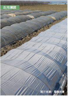 環保可降解PLA吸管與農用薄膜 可持續材料的應用與前景